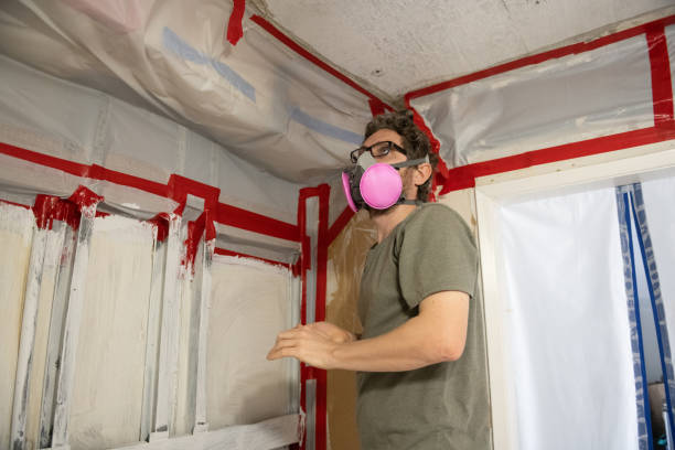 Best Environmental Consulting for Mold Prevention  in River Rouge, MI