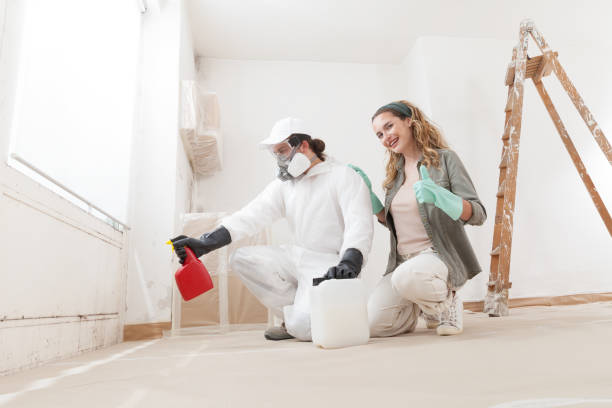 Best Mold Damage Restoration  in River Rouge, MI