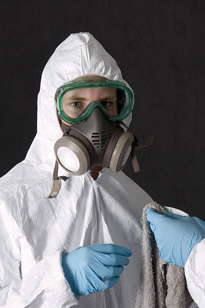 Best Asbestos and Lead Testing During Mold Inspection  in River Rouge, MI